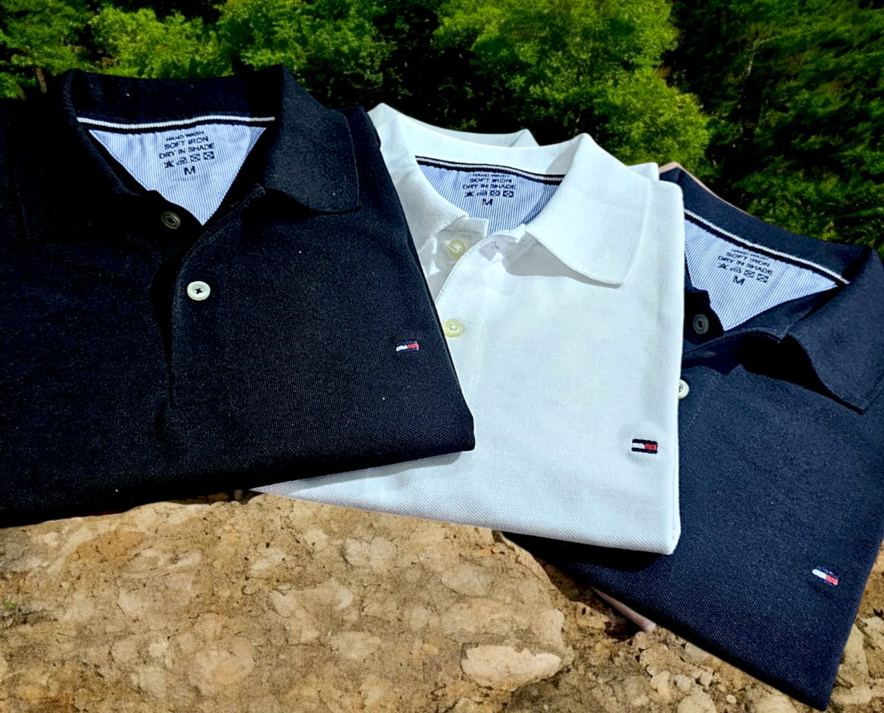 Polo Neck T-Shirt for Men (Multicolor, M,L,XL,XXL) (Pack of 3)